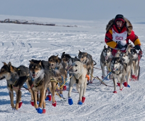 Iditarod