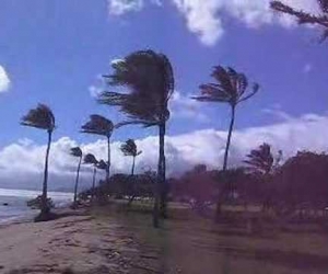 Tropical Storms