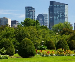 Boston Common