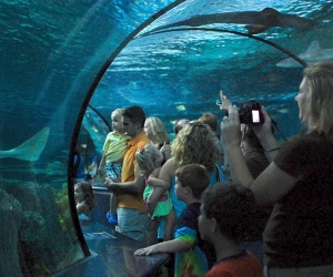 Aquarium