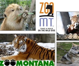 ZooMontana