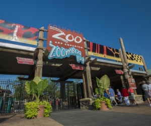 Zoo