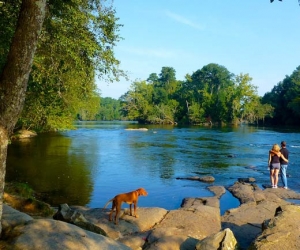 Saluda, Broad and Congaree Rivers